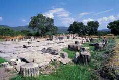 Temple of Meson